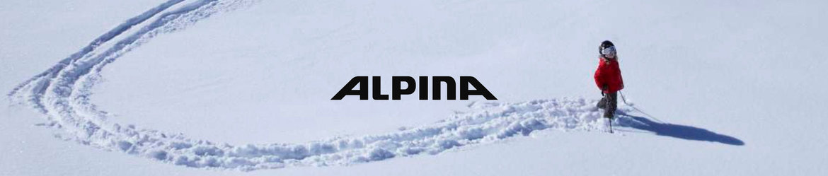 alpina-ski-helmet-buy