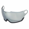 Bolle might grey silver cat. 3